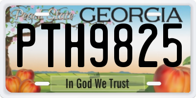 GA license plate PTH9825