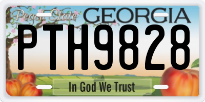 GA license plate PTH9828