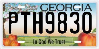 GA license plate PTH9830
