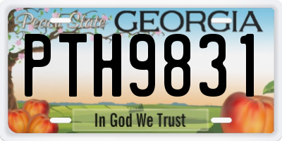 GA license plate PTH9831
