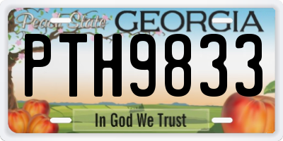 GA license plate PTH9833