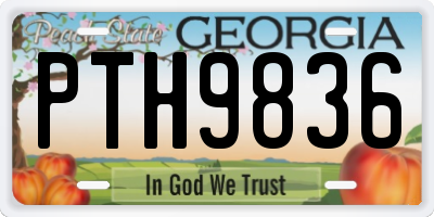 GA license plate PTH9836