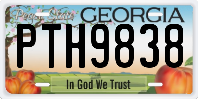 GA license plate PTH9838