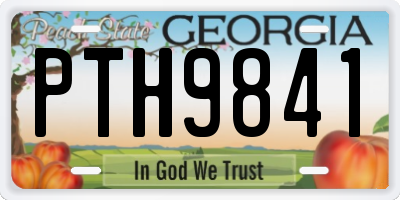 GA license plate PTH9841