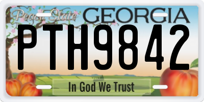 GA license plate PTH9842