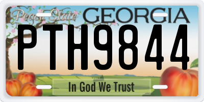 GA license plate PTH9844