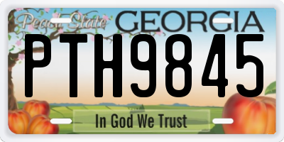GA license plate PTH9845