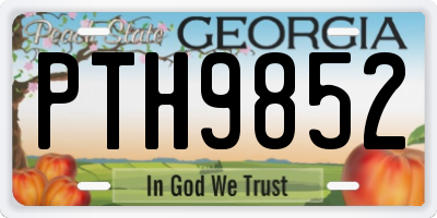 GA license plate PTH9852