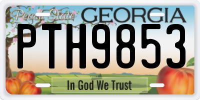 GA license plate PTH9853