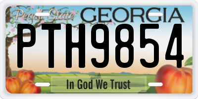 GA license plate PTH9854