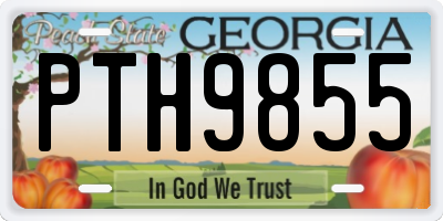 GA license plate PTH9855