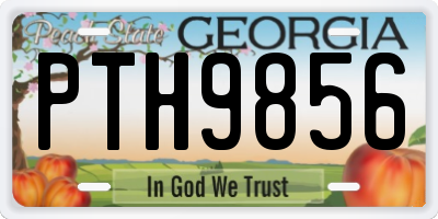 GA license plate PTH9856