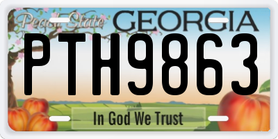 GA license plate PTH9863