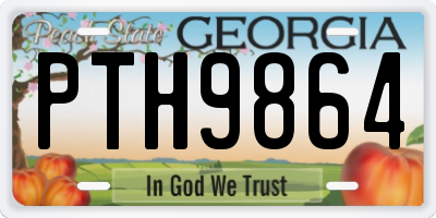 GA license plate PTH9864