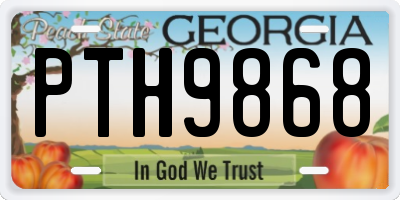 GA license plate PTH9868