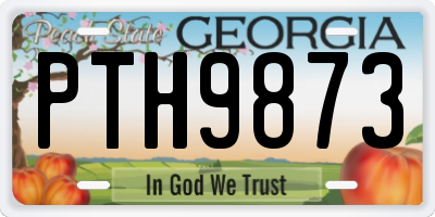 GA license plate PTH9873