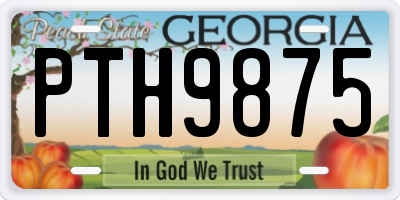 GA license plate PTH9875