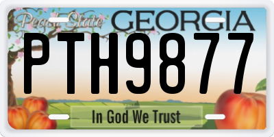 GA license plate PTH9877