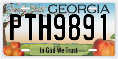 GA license plate PTH9891