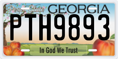 GA license plate PTH9893