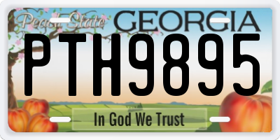 GA license plate PTH9895