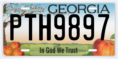 GA license plate PTH9897