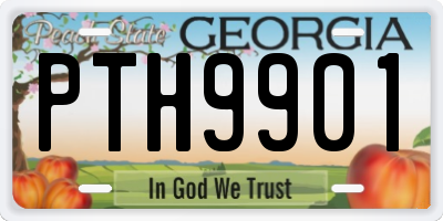 GA license plate PTH9901