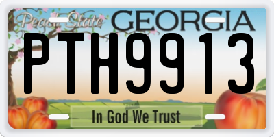 GA license plate PTH9913