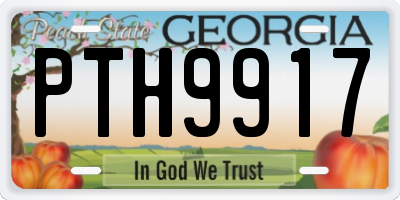 GA license plate PTH9917
