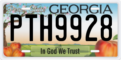 GA license plate PTH9928