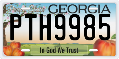 GA license plate PTH9985