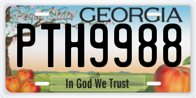 GA license plate PTH9988