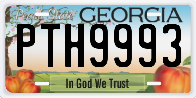 GA license plate PTH9993