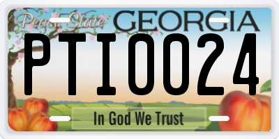 GA license plate PTI0024