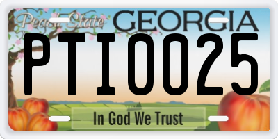 GA license plate PTI0025