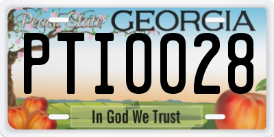 GA license plate PTI0028