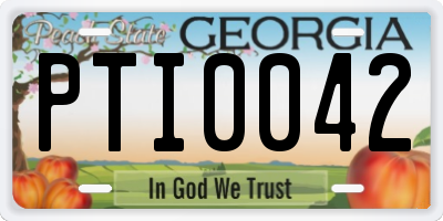 GA license plate PTI0042