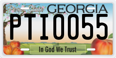 GA license plate PTI0055
