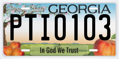 GA license plate PTI0103