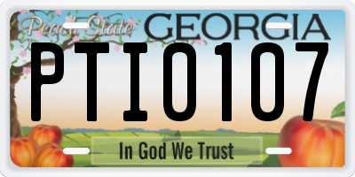 GA license plate PTI0107