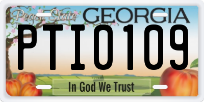 GA license plate PTI0109