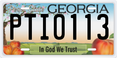 GA license plate PTI0113