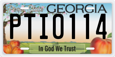GA license plate PTI0114