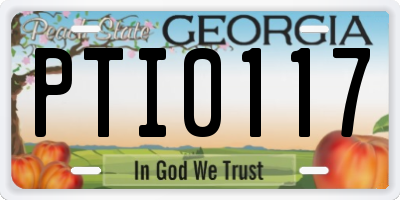GA license plate PTI0117