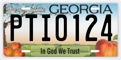GA license plate PTI0124