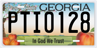 GA license plate PTI0128