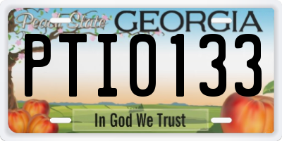 GA license plate PTI0133