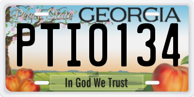 GA license plate PTI0134