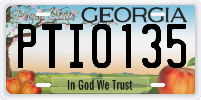 GA license plate PTI0135