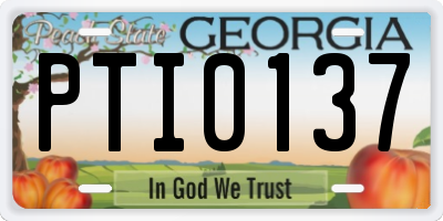 GA license plate PTI0137